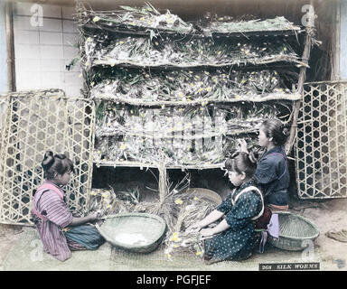 [ Ch. 1880 Japon - Culture de soie japonais ] - une femme et deux enfants travaillant avec des vers à soie. 19e siècle vintage albumen photo. Banque D'Images