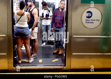 New York City, New York, USA. Août 26, 2018. Sur un superbe dimanche après-midi, les résidents de la Bronx, l'un des plus diversifiés sur le voisinage de la ville de New York étaient dehors et environ s'engager dans une variété d'activités au château de Longwood Hills sections de l'arrondissement. Credit : Ronald G. Lopez/ZUMA/Alamy Fil Live News Banque D'Images