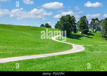 Sentier de randonnée dans les contreforts des Alpes bavaroises avec green vallonné de prairies et arbres isolés en face de ciel bleu avec des nuages en été. Banque D'Images