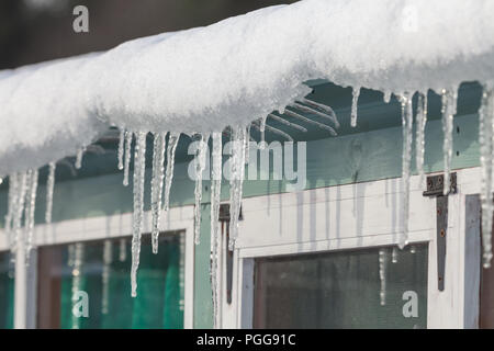 La neige et les glaçons suspendus à un caniveau dans le gel de l'hiver en Angleterre au cours de la bête de l'est Storm. Abri de jardin close up of frozen w Banque D'Images