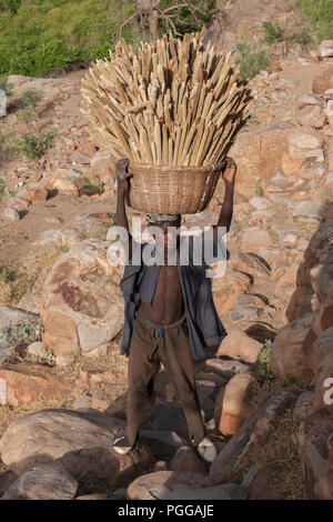 Jeune malien garçon transporte un panier avec le petit mil (Pennisetum glaucum) Oreilles Banque D'Images