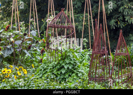 Soutien en osier dans le jardin de permaculture fleurs et légumes mélangés poussant ensemble sanctuaires tranquilles plantes de jardinage écologiques dans le jardin vert Banque D'Images