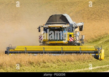 Moissonneuse-batteuse New Holland CR9080 la récolte d'un champ de luzerne - France. Banque D'Images