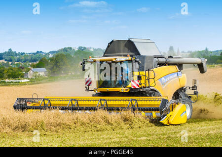 Moissonneuse-batteuse New Holland CR9080 la récolte d'un champ de luzerne - France. Banque D'Images