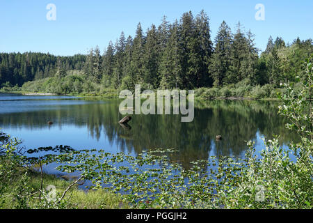 Le Lac Fairy avec peu de pruche, de Port Renfrew, l'île de Vancouver, Canada Banque D'Images