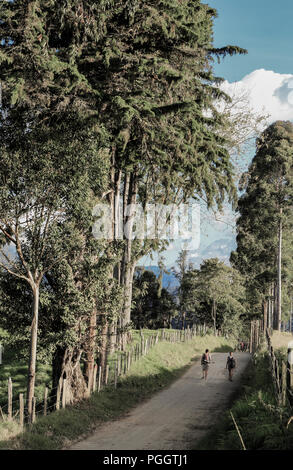 Promeneurs sur route de campagne dans le Salento, Colombie Banque D'Images