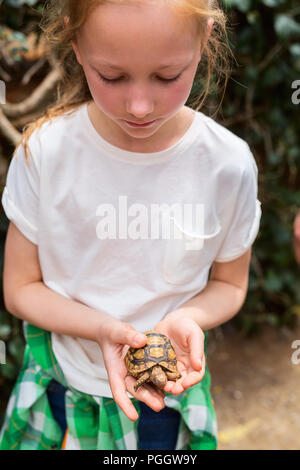 Portrait of cute little girl holding baby tortue Banque D'Images