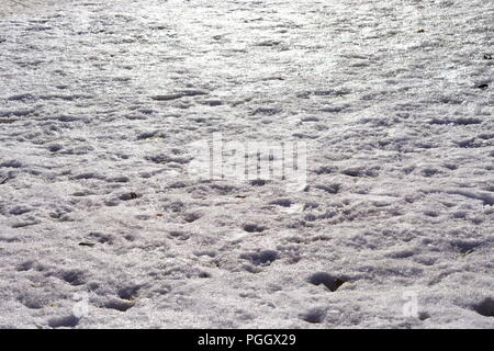 La neige fond après la première neige d'automne. Banque D'Images