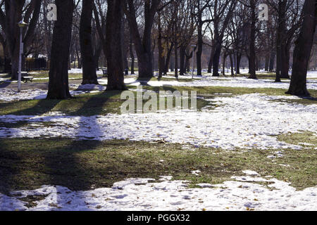 La neige fond après la première neige d'automne. Banque D'Images