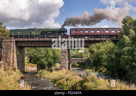 The Flying Scotsman locomotive à vapeur sur la East Lancashire Railway. Viaduc de Brooksbottom Banque D'Images