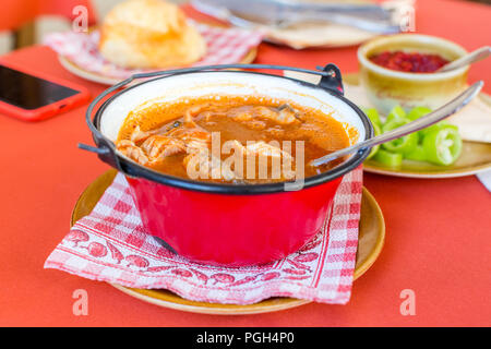 Soupe de poissons traditionnelle hongroise dans un petit rouge électrique Banque D'Images