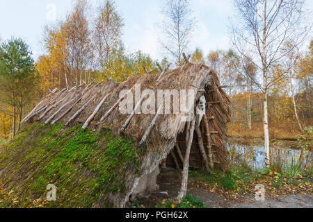 Cabane dans la forêt d'herbe à l'automne sur un lac Banque D'Images