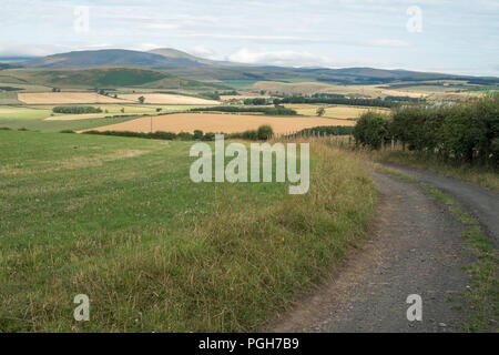 Cheviot Hills photographié d'Glanton Pike, Northumberland, England, United Kingdom. Banque D'Images