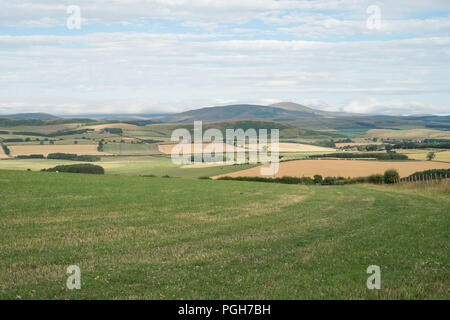 Cheviot Hills photographié d'Glanton Pike, Northumberland, England, United Kingdom. Banque D'Images