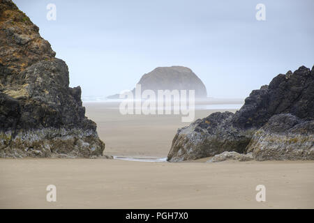 Matin brumeux sur les piles de la mer à l'Arcadia Beach State Park, Oregon, USA Banque D'Images