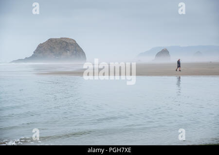 Matin brumeux sur les piles de la mer à l'Arcadia Beach State Park, Oregon, USA Banque D'Images