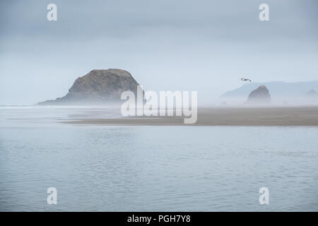 Matin brumeux sur les piles de la mer à l'Arcadia Beach State Park, Oregon, USA Banque D'Images