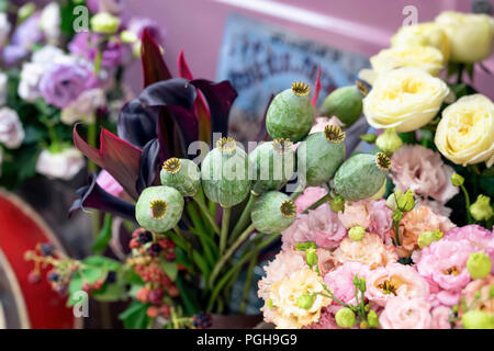 Bouquet de têtes de pavot à opium vert, des capsules, des semences et des bourgeons de feuilles tropicales sur un fond de fleurs différentes dans un magasin de fleur Banque D'Images