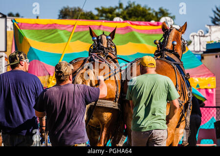 Juste BROOKLYN Brooklyn, New York, USA Banque D'Images