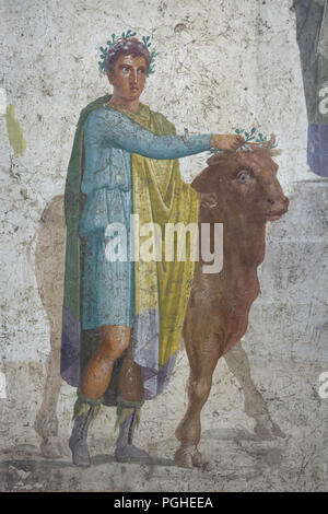 Bull sacrificiel mené à terme par les victimarius (l'homme qui tue l'animal sacrificiel) représenté dans la fresque romaine de la maison de Jason (Casa di Giasone) à Pompéi (20-25 Ma), maintenant exposée dans le Musée Archéologique National (Museo Archeologico Nazionale di Napoli) à Naples, Campanie, Italie. Détail de la fresque Jason et le roi Pelias. Banque D'Images