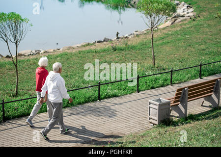 Vue arrière large angle portrait of senior couple walking in park, le long du lac, copy space Banque D'Images