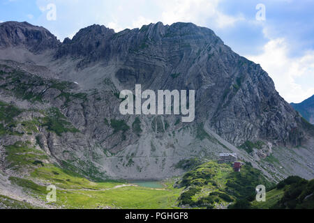 Allgäuer Alpen : sommet Hochvogel, vallée Oberes Tal, fleurs, refuge de montagne Prinz-Luitpold-Haus, Schwaben, Allgäu, souabe, Bayern, Bavière, Allemagne Banque D'Images