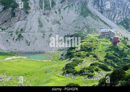 Allgäuer Alpen : Prinz-Luitpold-Haus, fleurs, Schwaben, Allgäu, souabe, Bayern, Bavière, Allemagne Banque D'Images