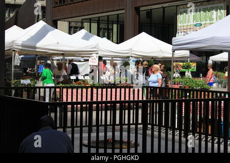 Marché de producteurs à Daley Plaza dans le centre-ville de Chicago, Illinois sur une chaude journée d'été ensoleillée. Banque D'Images