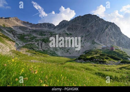 Allgäuer Alpen : sommet Hochvogel, vallée Oberes Tal, fleurs, refuge de montagne Prinz-Luitpold-Haus, Schwaben, Allgäu, souabe, Bayern, Bavière, Allemagne Banque D'Images
