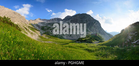 Allgäuer Alpen : sommet Hochvogel, vallée Oberes Tal, fleurs, refuge de montagne Prinz-Luitpold-Haus, Schwaben, Allgäu, souabe, Bayern, Bavière, Allemagne Banque D'Images
