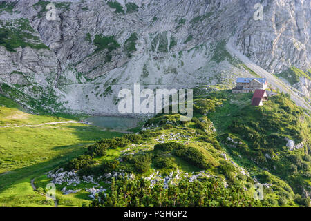 Allgäuer Alpen : Prinz-Luitpold-Haus, fleurs, Schwaben, Allgäu, souabe, Bayern, Bavière, Allemagne Banque D'Images