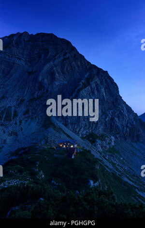 Allgäuer Alpen : Prinz-Luitpold-Haus, fleurs, sommet des Wiedemerkopf avec dolomite principale pliage, Schwaben, Allgäu, souabe, Bayern, Bavaria, Banque D'Images