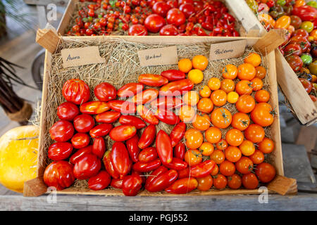 Les différentes variétés de tomate se trouve dans un panier Banque D'Images