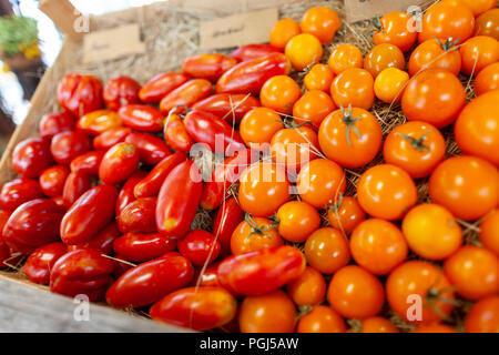 Les différentes variétés de tomate se trouve dans un panier Banque D'Images