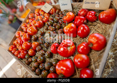 Les différentes variétés de tomate se trouve dans un panier Banque D'Images