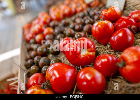 Les différentes variétés de tomate se trouve dans un panier Banque D'Images