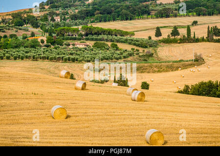 Les grosses balles rondes de foin dans les collines de la Toscane, Italie Banque D'Images