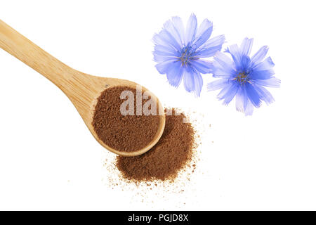 Fleur de chicorée et poudre de chicorée instantanée en cuillère en bois isolé sur un fond blanc. Cichorium intybus. Banque D'Images