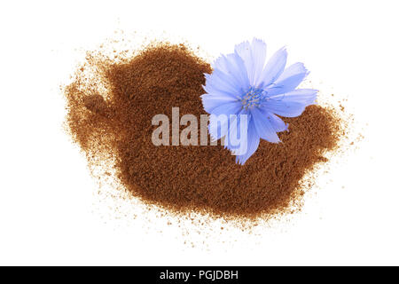 Fleur de chicorée et poudre de chicorée instantanée isolé sur un fond blanc. Cichorium intybus. Banque D'Images