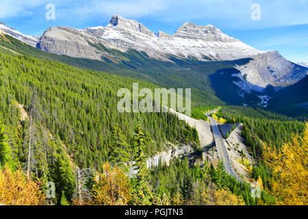 La route 93 belle "Promenade des Glaciers" à l'automne le Parc National de Jasper, Canada Banque D'Images