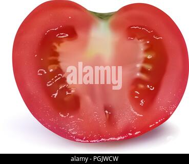 Fruits rouges la moitié de tomate sur fond blanc Illustration de Vecteur