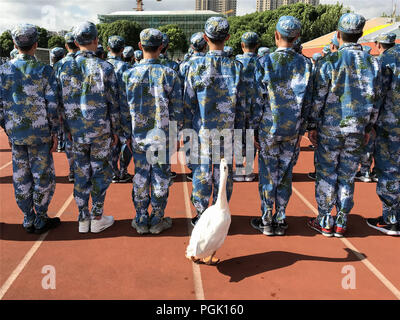 Wuxi, Wuxi, Chine. Août 27, 2018. Wuxi, Chine-animaux, dont des oies, des chèvres et des canards sauvages peuvent être vus dans une école où les étudiants suivent une formation militaire dans l'est de Wuxi, Province de Jiangsu. Crédit : SIPA Asie/ZUMA/Alamy Fil Live News Banque D'Images