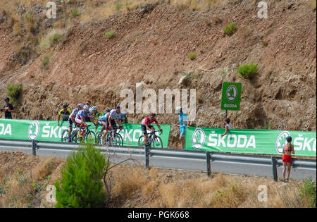 La Vuelta, Espagne. 27 août, 2018. Étape 3, de Mijas - Alhaurín de la Torre ; 178,2 km. andalousie, principal groupe arrive au km 152 près de Mijas Pueblo. Perry Van Munster/Alamy Live News Banque D'Images