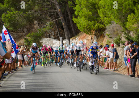 La Vuelta, Espagne. 27 août, 2018. Étape 3, de Mijas - Alhaurín de la Torre ; 178,2 km. andalousie, principal groupe arrive au km 152 près de Mijas Pueblo. Perry Van Munster/Alamy Live News Banque D'Images