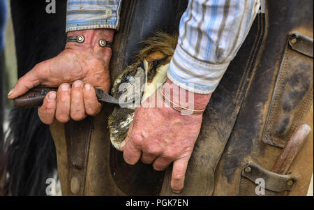 Ballycastle, Irlande du Nord. Lundi 27 Août, 2018. Un maréchal-ferrant au travail de parage et d'équilibrer les sabots de chevaux à l'Ould Lammas Fair à Ballycastle Le Ould Lammas Fair est la plus ancienne foire de l'Irlande. Le mot Lammas vient de 'la masse' - Pain pain cuit traditionnellement à partir de la première les grains d'automne ont été mis sur l'église à modifier. SSince le 17ème siècle, l'traders affluent sur la juste d'acheter et de vendre des animaux, une tradition de service Crédit : Graham/Alamy Live News Banque D'Images