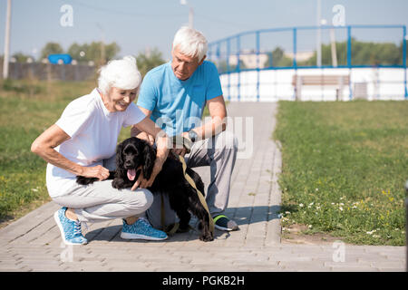 Portrait de senior couple enjoying matin promenade avec chien sur park, copy space Banque D'Images