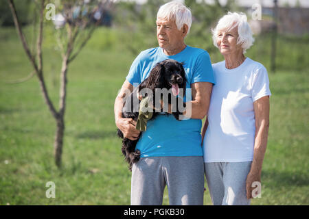 Portrait de couple supérieur moderne tout en profitant de l'extérieur ensemble à pied avec un chien dans le parc, copy space Banque D'Images