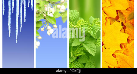 Quatre saisons de l'année. Ensemble de nature verticale des bannières avec l'hiver, printemps, été et automne scenes Banque D'Images