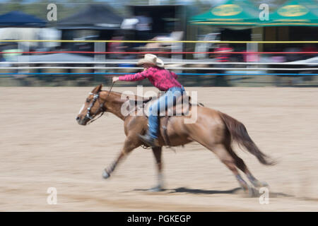 Femme rider en compétition dans la course du fourreau à Mareeba rodeo, Far North Queensland, Queensland, Australie, FNQ Banque D'Images