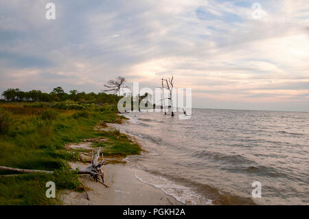 Deal Island sur la baie de Chesapeake dans le Maryland. Banque D'Images